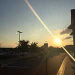The name is Axl - @axl.cooper81 - Instagram
