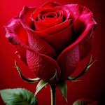 Axl Diaz - @axl.diaz.50 - Instagram