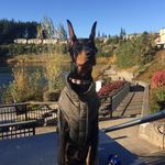 Axl J Love - @axljlove - Instagram