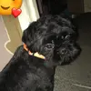 axl_smith123 - @axl_smith123 - TikTok