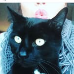 Axle rose - @axlerose_thefat - Instagram