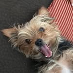 Axle Rose - @axle_rose_0919 - Instagram