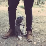 Axle Rose - @axlerose_ - Instagram