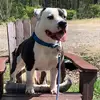 Axle rose - @the.axle.rose728 - TikTok