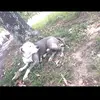 axle.rose04 - @axle.rose - TikTok