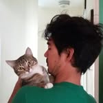 A.Y. Smith - @a.y.smith - Instagram