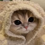 Hatan - @ayaallen50 - Instagram