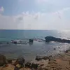 aya amer - @aya.amer - TikTok