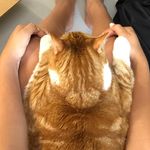 Aya Aoki - @aya0k1 - Instagram
