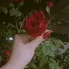 Aya hussein - @ayahussein52472 - TikTok