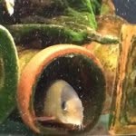 Ayako Nakayama - @ayakonakayama - Instagram