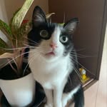 Ayako Nakayama - @aco0725 - Instagram