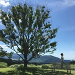 Ayako Nakayama - @ayako9417 - Instagram