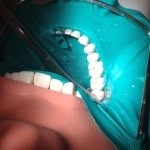 Ayal Steinberg - @aysteinberg - Instagram