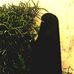 Ayan Abdi - Facebook