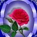 Ayan Abdi - Facebook