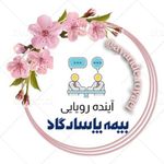 Razieh Sharei - @ayande.royaei - Instagram