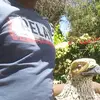 ayandadaniels0 - @ayandadaniels0 - TikTok