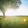 ayannamartinez00 - @daily_routine0099 - TikTok