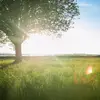 ayannamartinez99 - @dailyroutine1122 - TikTok