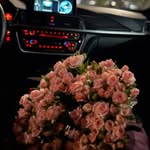 Ayat Ahmed - @aatt2_2444 - Instagram