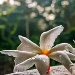 Ayat Ahmed - Facebook