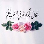 Ayat Ahmed - Facebook