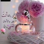 Ayat Ahmed - Facebook
