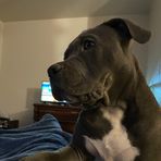 Ayden Brown - Facebook