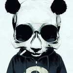 ayden cox - @aydencox4549 - Instagram