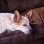 Ayden Hensley - @ayden.hensley.7 - Instagram