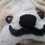 Aydenleong - @aydenleong4 - Instagram