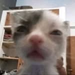 Ayden McCarthy - @adnfmcry - Instagram
