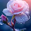 aye kyaw - @aye.kyaw546 - TikTok