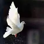 Aye Kyaw Kyaw - @aye.kyawkyaw - Instagram