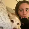 Ally - @a11y0op - TikTok