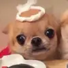 Ayerim Torres863 - @quesadilla_91 - TikTok