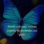 Ayerim Torres - @mireyasanchez3271 - Instagram