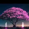 AyeshaAafaq - @aafaq356 - TikTok