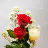 Ayesha Akram - @ayesha.akram935 - TikTok