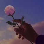 ayesha faridi - @ayesha_faridi_80 - Instagram