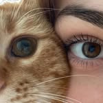 AYESHA.KADRI.313 - @ayesha.kadri.313 - Instagram