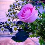 @ayesha_kimari - Instagram