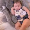 ayeshalateef837 - @ayeshalateef837 - TikTok