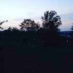 Ayesha khan - @ayesha_khan_sk_lower - Instagram