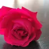 Ayesha ma37 - @ayeshama37 - TikTok