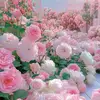 Ayesha Ma - @ayesha.ma6 - TikTok