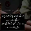 Ayesha Mohsin - @ayeshamohsin48 - TikTok