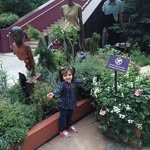 Ayesha Mohsin - @ayeshamohsin2014 - Instagram