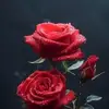 Ayesha Moore - @ayesha.moore - TikTok